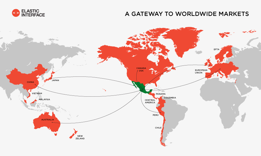 Mappa mondiale Elastic Interface